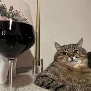 Meet your Posher, Monika